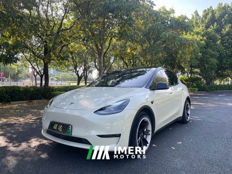 2021 Tesla Model Y Standard Range RWD - ავტომობილი ჩინეთიდან