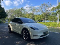 Tesla Model Y Standard Range RWD - ფოტო 2