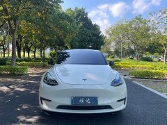 Tesla Model Y Standard Range RWD - ფოტო 3