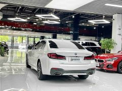 BMW 5 Series 530Li xDrive M Sport Package - ფოტო 17