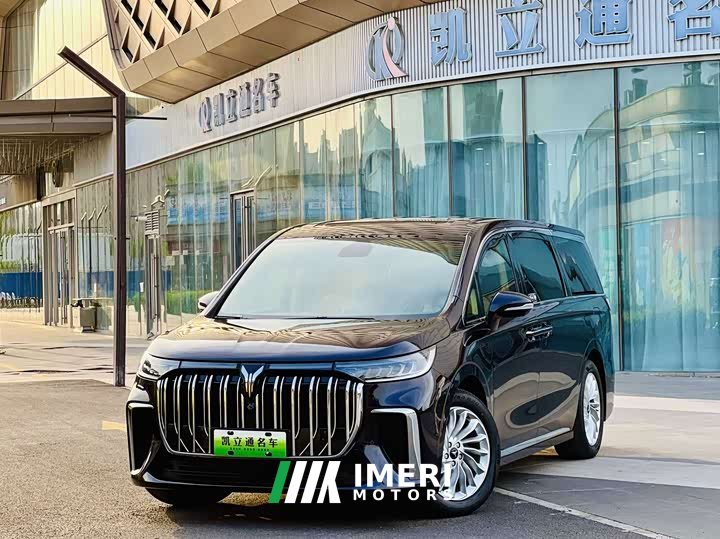 Voyah Lantu Dreamchaser Low Carbon Edition Family
