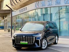 Voyah Lantu Dreamchaser 2022 Low Carbon Edition Family - ფოტო 1