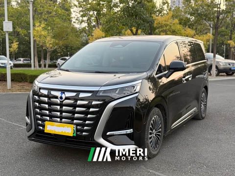 2025 Denza BYD Denza D9 2024 DM-i 1050 Premium - ავტომობილი ჩინეთიდან