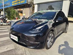 Tesla Model Y Long Range All-Wheel Drive - ფოტო 1