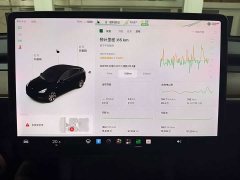 Tesla Model Y Long Range All-Wheel Drive - ფოტო 11