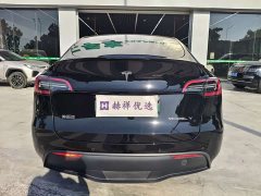 Tesla Model Y Long Range All-Wheel Drive - ფოტო 14