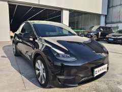 Tesla Model Y Long Range All-Wheel Drive - ფოტო 3