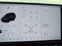 Li Auto L9 2022 Max - ფოტო 12