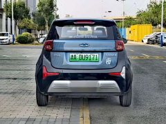 Chery Ant 150,000 Ant Fan Edition Ant Tide Version LFP Battery - ფოტო 7