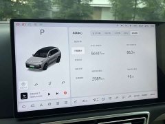Li Auto L8 Pro - ფოტო 12
