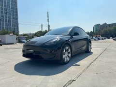 Tesla Model Y 2023 Rear-Wheel Drive - ფოტო 1