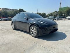 Tesla Model Y 2023 Rear-Wheel Drive - ფოტო 3