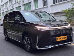 Maxus 9 Long Range Edition - ფოტო 3