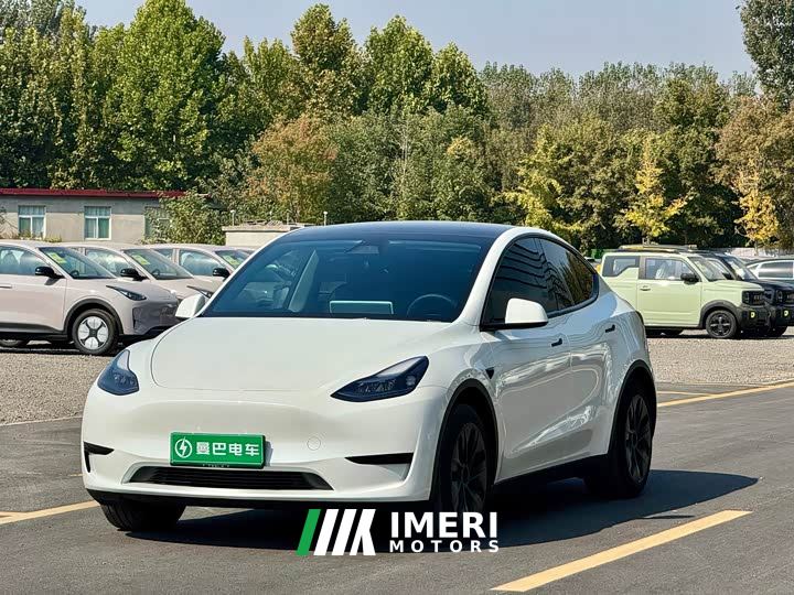 Tesla Model Y Rear-Wheel Drive
