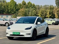 Tesla Model Y Rear-Wheel Drive - ფოტო 1