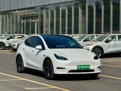 Tesla Model Y Rear-Wheel Drive - ფოტო 2