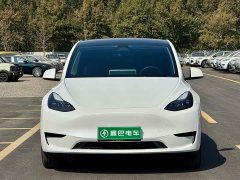 Tesla Model Y Rear-Wheel Drive - ფოტო 3