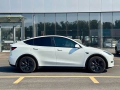 Tesla Model Y Rear-Wheel Drive - ფოტო 5