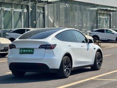 Tesla Model Y Rear-Wheel Drive - ფოტო 6