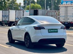 Tesla Model Y Rear-Wheel Drive - ფოტო 8