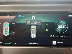 Jetour Jietu Traveler 2.0T AWD Traverse PRO - ფოტო 9