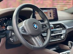 BMW 5 Series 530Li Premier M Sport Package - ფოტო 10