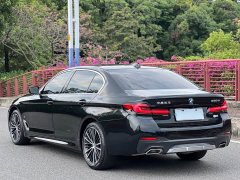 BMW 5 Series 530Li Premier M Sport Package - ფოტო 17