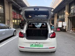 Wuling Binguo 2023 333km Joy Edition - ფოტო 20