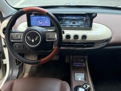 Wuling Binguo 2023 333km Joy Edition - ფოტო 6