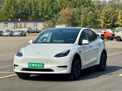 Tesla Model Y Rear-Wheel Drive - ფოტო 1