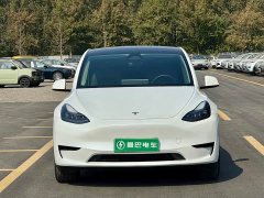 Tesla Model Y Rear-Wheel Drive - ფოტო 2