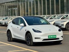 Tesla Model Y Rear-Wheel Drive - ფოტო 3