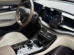 BYD Qin PLUS Champion Edition DM-i 55KM Leading - ფოტო 14
