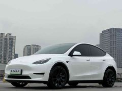 Tesla Model Y 2022 Facelift Rear-Wheel Drive - ფოტო 1