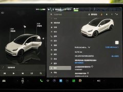 Tesla Model Y 2023 Rear-Wheel Drive - ფოტო 12