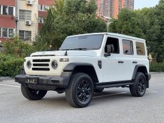 BMW 212 T01 2.0T Mechanic Edition - ფოტო 1