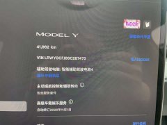 Tesla Model Y Rear-Wheel Drive - ფოტო 13