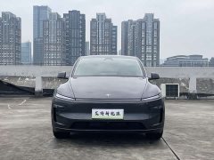 Tesla Model Y Rear-Wheel Drive - ფოტო 2
