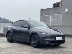 Tesla Model Y Rear-Wheel Drive - ფოტო 3