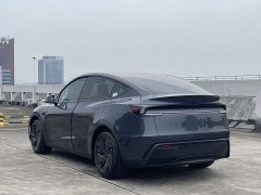 Tesla Model Y Rear-Wheel Drive - ფოტო 6