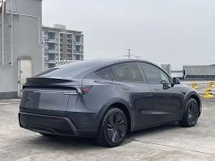 Tesla Model Y Rear-Wheel Drive - ფოტო 7