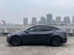 Tesla Model Y Rear-Wheel Drive - ფოტო 8