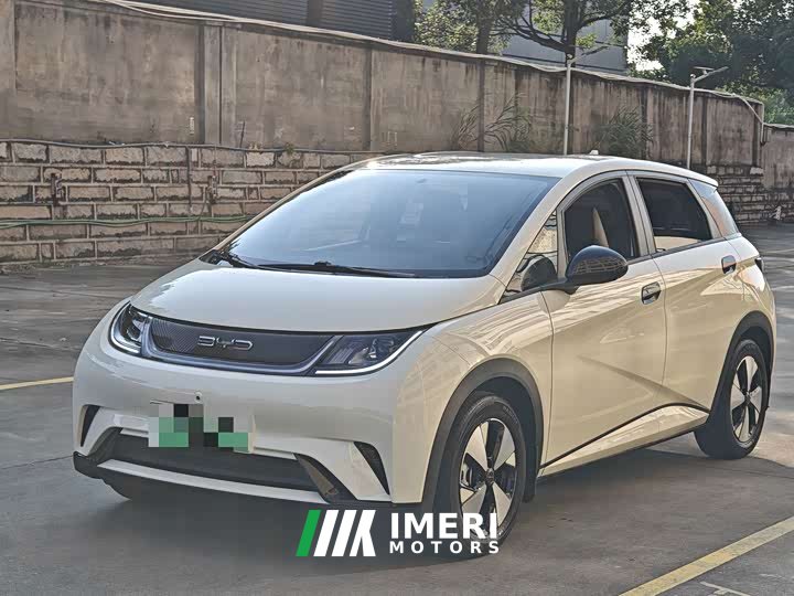 BYD Dolphin 420km Freedom Edition - ავტომობილი ჩინეთიდან