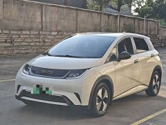 BYD Dolphin 420km Freedom Edition - ფოტო 1