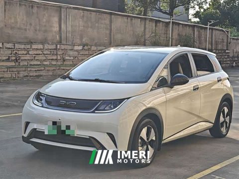 2023 BYD Dolphin 420km Freedom Edition - ავტომობილი ჩინეთიდან