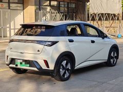 BYD Dolphin 420km Freedom Edition - ფოტო 13