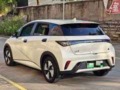 BYD Dolphin 420km Freedom Edition - ფოტო 15