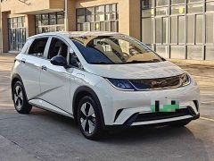 BYD Dolphin 420km Freedom Edition - ფოტო 3