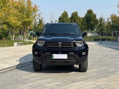 Tank 700 New Energy 2024 Hi4-T Extreme Edition - ფოტო 2