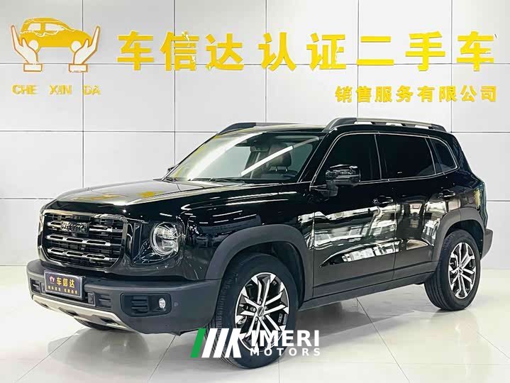 Great Wall Dachshund 1.5T DCT Two-Wheel Drive Border Collie Edition